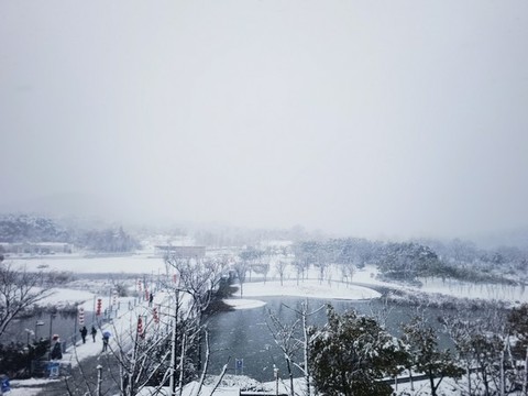 江南雪