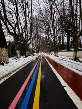 雪中跑道