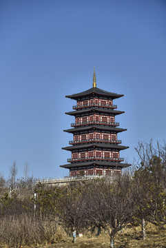 唐山花?；葸h(yuǎn)塔
