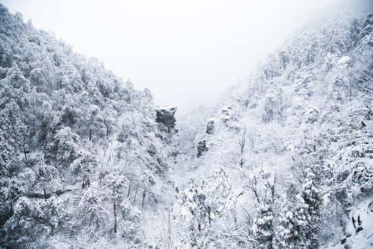 廬山雪景