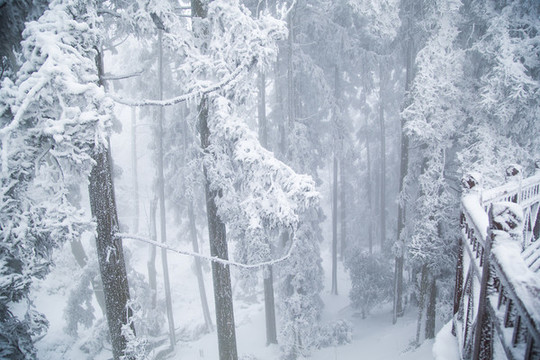 廬山雪景