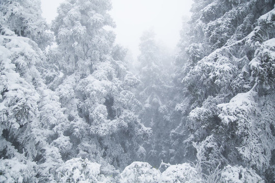 廬山雪景