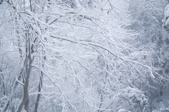 廬山雪景