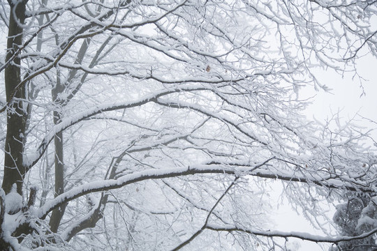 廬山雪景