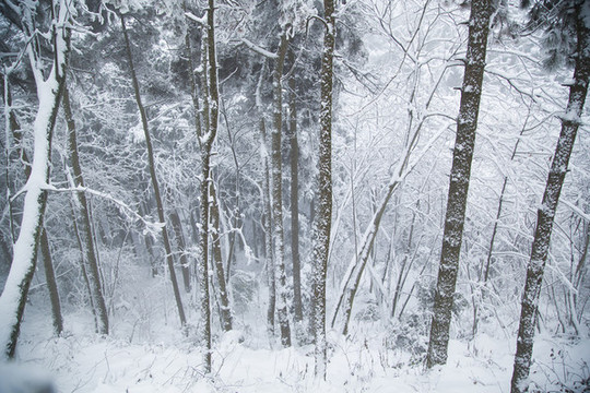 廬山雪景