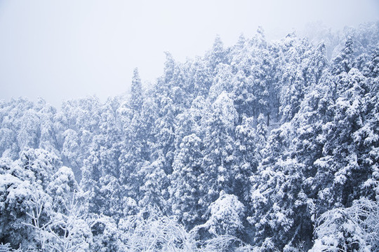 廬山雪景