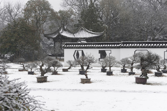 雪中園藝盆景園