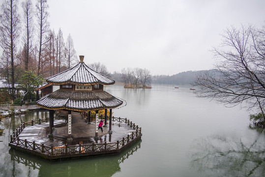 杭州西湖茅家埠黛色參天雪景