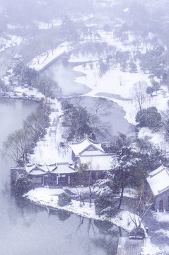揚州雪