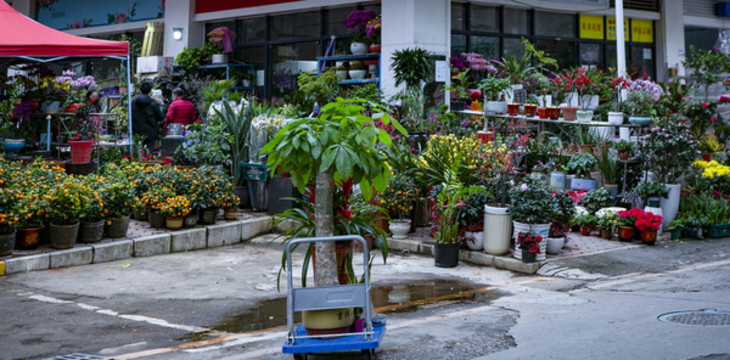 鮮花店