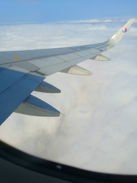 云中的飛機機翼