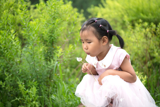 公園里吹蒲公英的小姑娘