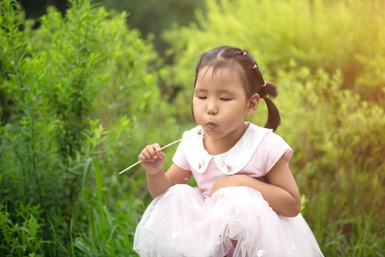 公園里吹蒲公英的小姑娘