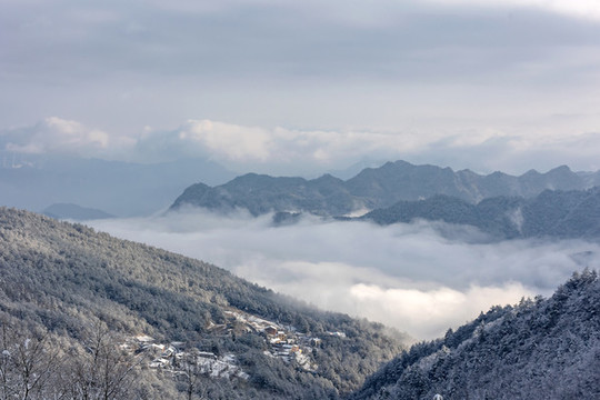金佛山雪景