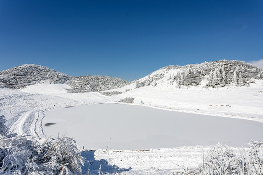 金佛山雪景