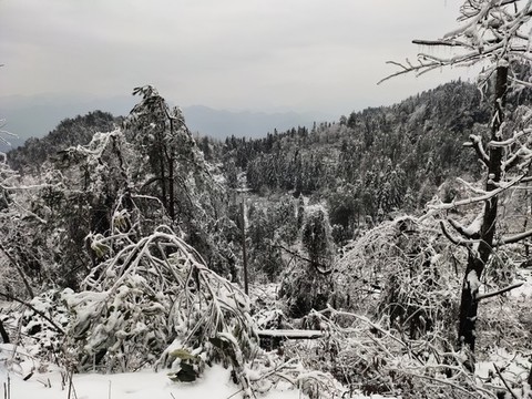 雪景