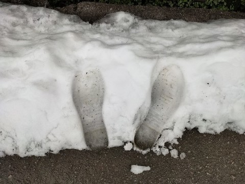 雪中的腳印