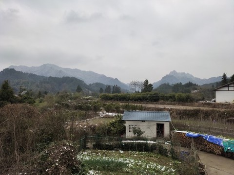 冬日雪景