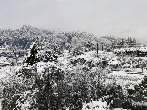 冰天雪地