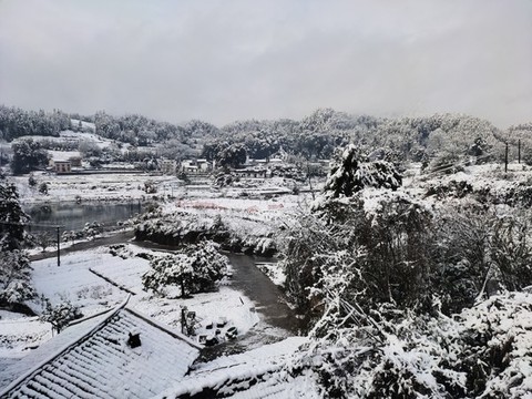 家鄉(xiāng)的雪景