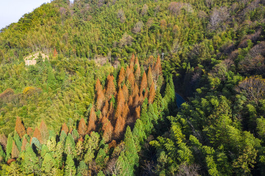 航拍湖南長(zhǎng)沙瀏陽(yáng)大圍山景區(qū)
