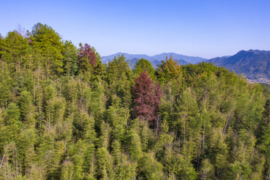 航拍湖南長沙瀏陽大圍山景區(qū)