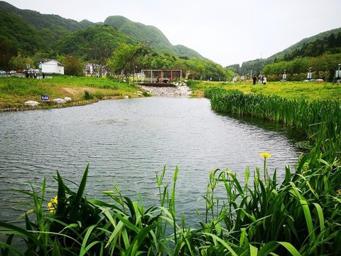 濕地公園