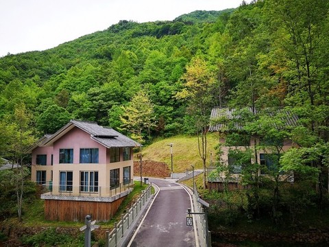 山中別墅