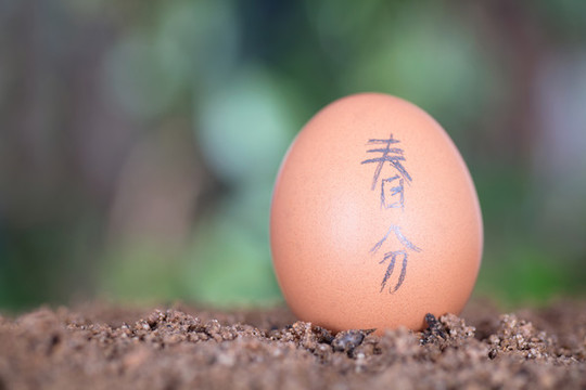 春分節(jié)氣豎蛋習(xí)俗