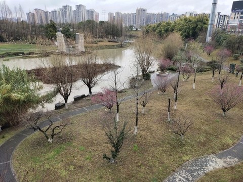 公園桃樹(shù)