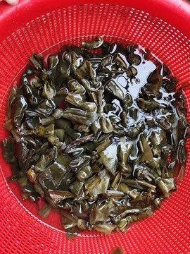 海帶