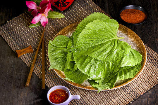 蘇子葉