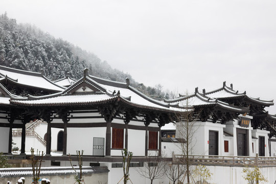 寺廟樓頂雪景