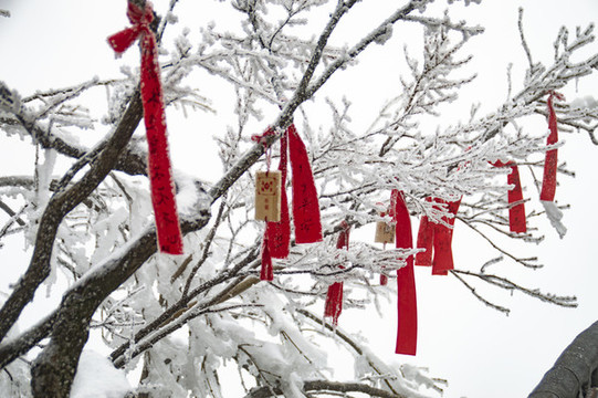 張家界天門山雪景