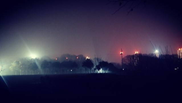 霧中微光