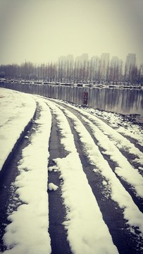 雪的世界