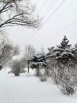 下雪