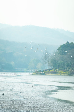 公園湖畔