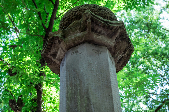 普濟(jì)寺經(jīng)幢特寫
