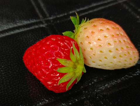 红白草莓