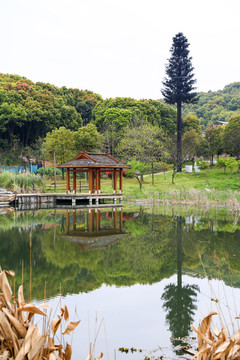 湖心亭