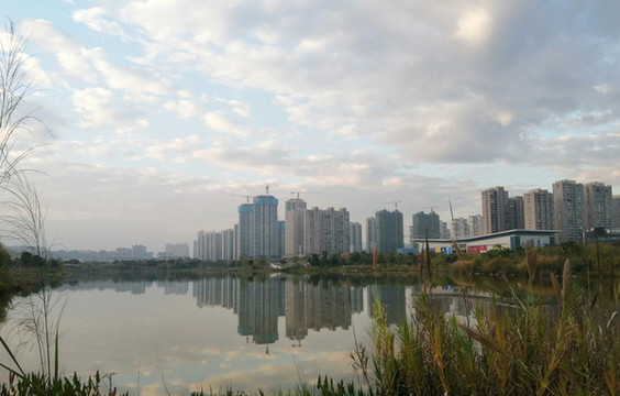 城市