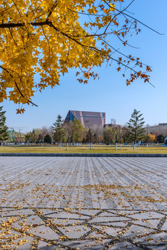 中國遼寧沈陽的中央公園