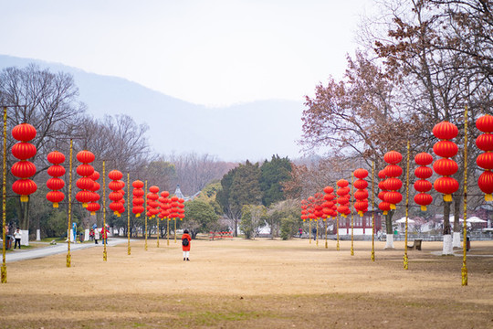 紅燈籠