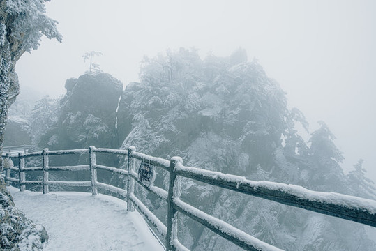 老君山的雪