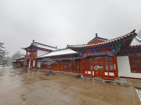 雪中興慶宮