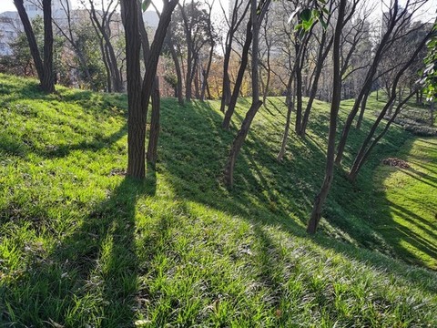興慶宮公園一角