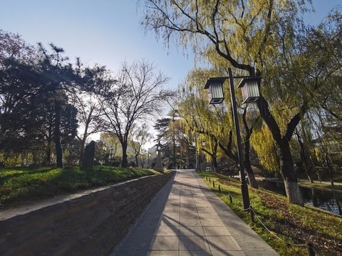 興慶宮公園