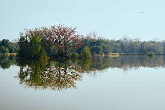 西昌邛海濕地公園