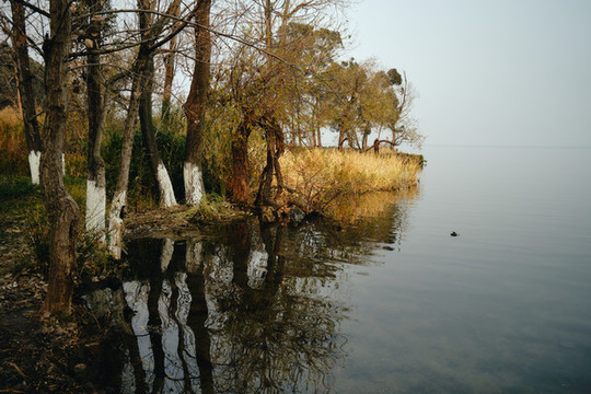 西昌邛海濕地公園